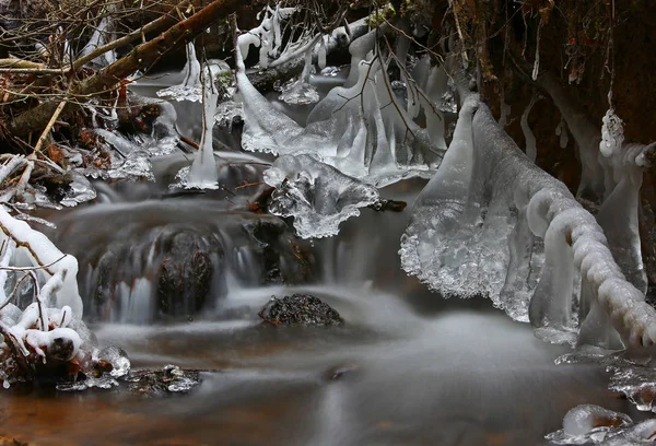 Primeiro Dia Inverno Congelando Criação Gelo Frio Pequeno Riacho Florestal — Fotografia de Stock