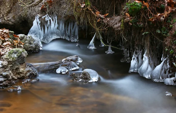 Primeiro Dia Inverno Congelando Criação Gelo Frio Pequeno Riacho Florestal — Fotografia de Stock