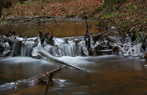 Primeiro Dia Inverno Congelando Criação Gelo Frio Pequeno Riacho Florestal — Fotografia de Stock