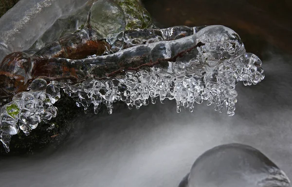 Primeiro Dia Inverno Congelando Criação Gelo Frio Pequeno Riacho Florestal — Fotografia de Stock