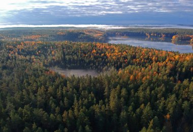 Renkli sisli erken sonbahar sabahı, havadan görünümü.