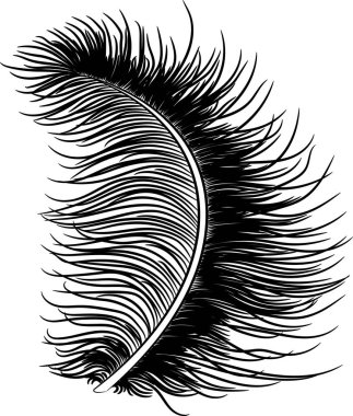 Tüy aşağı kabarık