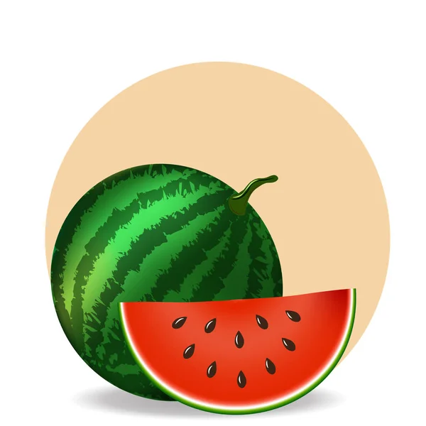 Watermeloen en slice op witte achtergrond — Stockvector
