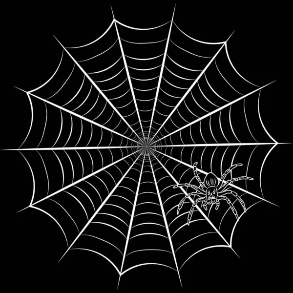 Spinnenweb en spider — Stockvector