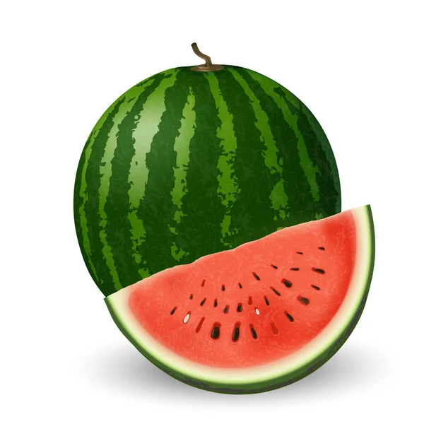 Realistische watermeloen en slice op witte achtergrond — Stockvector