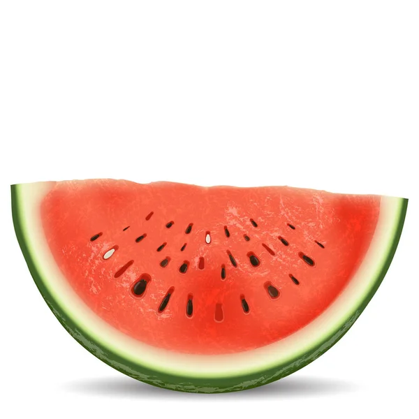 Krajíc melounu — Stockový vektor