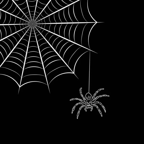 蜘蛛网和蜘蛛 — 图库矢量图片