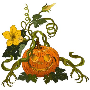 Cadılar Bayramı korkunç kabaklar beyaz arka plan üzerinde izole