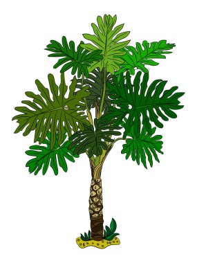 Beyaz arkaplanda izole edilmiş palmiye ağaçları