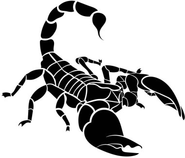 Akrep beyaz arkaplanda izole edildi