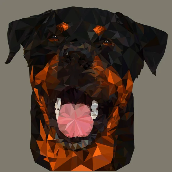 Triangulação do Rosto do Cão Rottweiler — Vetor de Stock