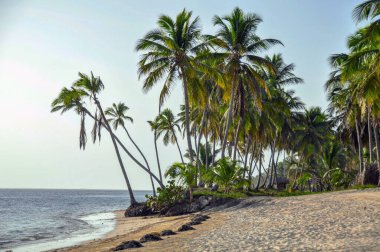 Atlantik Okyanusu 'ndaki Tropik Cennet Dominik Cumhuriyeti