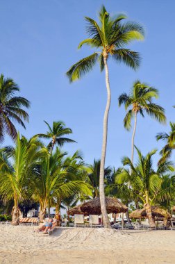 Punta Cana, Dominik Cumhuriyeti - 25 Mart 2010: Hotel Catalonia Royal Bavaro, Plaj Oteli yüzme havuzu Palmiye ağaçlarıyla çevrili