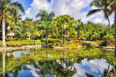 Punta Cana, Dominik Cumhuriyeti - 25 Mart 2010: Punta Cana 'da Hotel Catalonia Royal Bavaro Bölgesi, Göl ve Palmiye ağaçları