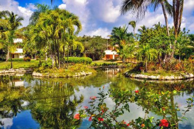 Punta Cana, Dominik Cumhuriyeti - 25 Mart 2010: Punta Cana 'da Hotel Catalonia Royal Bavaro Bölgesi, Göl ve Palmiye ağaçları