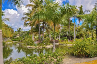 Punta Cana, Dominik Cumhuriyeti - 25 Mart 2010: Punta Cana 'da Hotel Catalonia Royal Bavaro Bölgesi, Göl ve Palmiye ağaçları