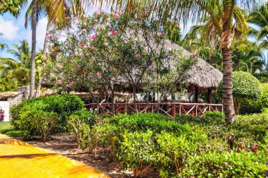 Punta Cana, Dominik Cumhuriyeti - 25 Mart 2010: Punta Cana 'da Royal Bavaro Oteli Bölgesi