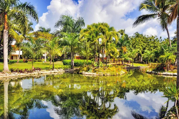 Punta Cana, Dominik Cumhuriyeti - 25 Mart 2010: Punta Cana 'da Hotel Catalonia Royal Bavaro Bölgesi, Göl ve Palmiye ağaçları