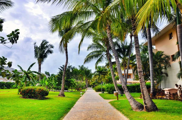 Punta Cana Dominican Republic March 2010 Territory Hotel Catalonia Royal — Stock Photo, Image