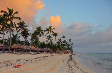 Punta Cana, Dominik Cumhuriyeti - 19 Mart 2010: Palmiye ağaçlarıyla benekli Karayip tatil beldesi