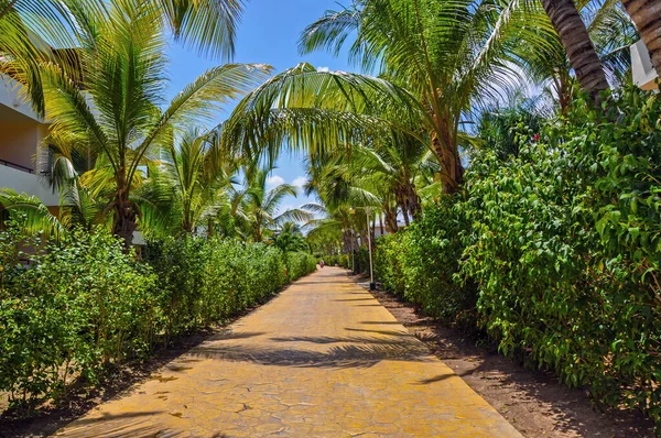 Punta Cana, Dominik Cumhuriyeti - 19 Mart 2010: Punta Cana 'da Royal Bavaro Oteli Bölgesi