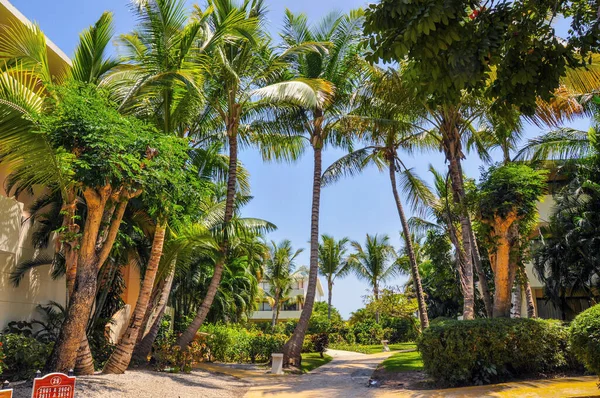 Punta Cana, Dominik Cumhuriyeti - 19 Mart 2010: Punta Cana 'da Royal Bavaro Oteli Bölgesi