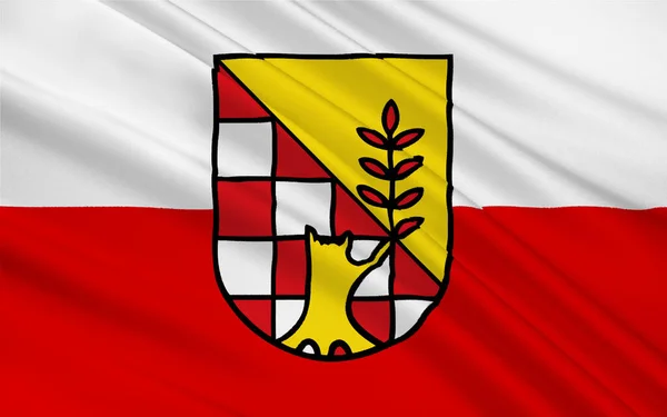 Nordhausens Flagga Ett Kreis Distrikt Norra Thüringen Tyskland — Stockfoto