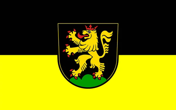 Flag Heidelberg Stad Belägen Vid Floden Neckar Sydvästra Tyskland Illustration — Stockfoto