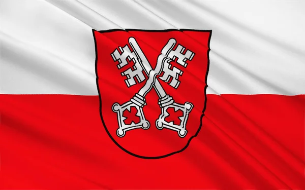 Flagga Regensburg Stad Sydöstra Tyskland Illustration — Stockfoto