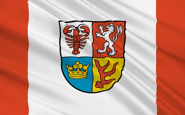 Флаг Шпрее Нейсе Район Южной Части Бранденбурга Германия Иллюстрация — стоковое фото