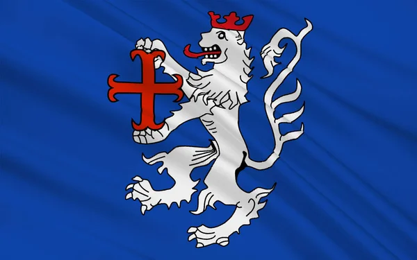 Hamelin Pyrmonts Flagga Ett Distrikt Niedersachsen Tyskland Illustration — Stockfoto