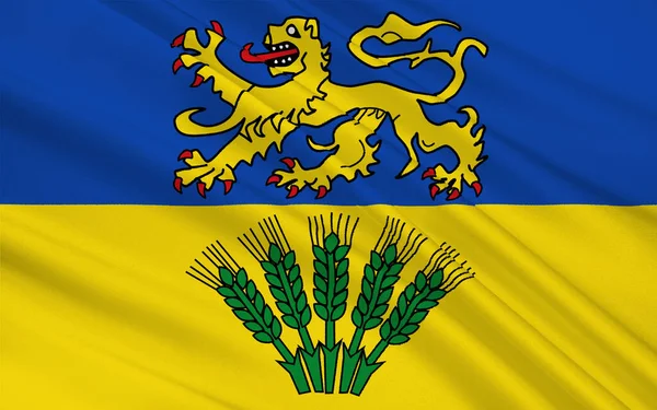 Zászló Wolfenbuttel Egy Kerület Délkeleti Alsó Szászországban Németországban Illusztráció — Stock Fotó