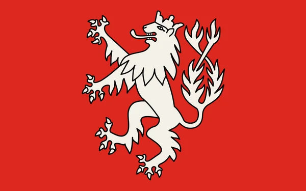 Flaga Heinsberg Miasto Niemczech Kraju Związkowym Nadrenia Północna Westfalia Ilustracja — Zdjęcie stockowe