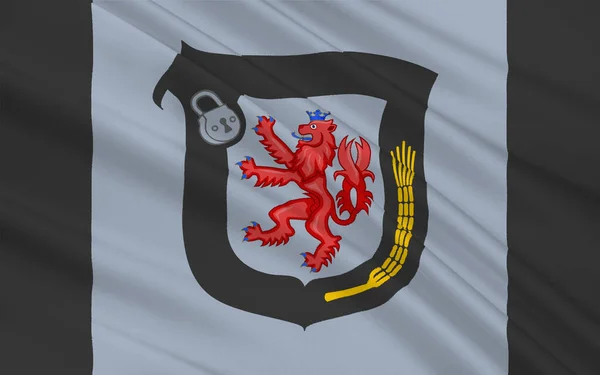 Zászló Mettmann Egy Kerület Közepén Észak Rajna Vesztfália Németország Illusztráció — Stock Fotó