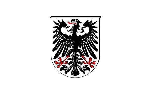 Flagga Ingelheim Rhein Stad Stadsdelen Mainz Bingen Rheinland Pfalz Tyskland — Stockfoto