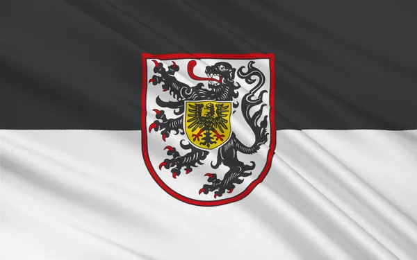 フラグ ランダウ Flag Landau Der Pfalz ドイツ ラインラント プファルツ州南部の自治都市 — ストック写真