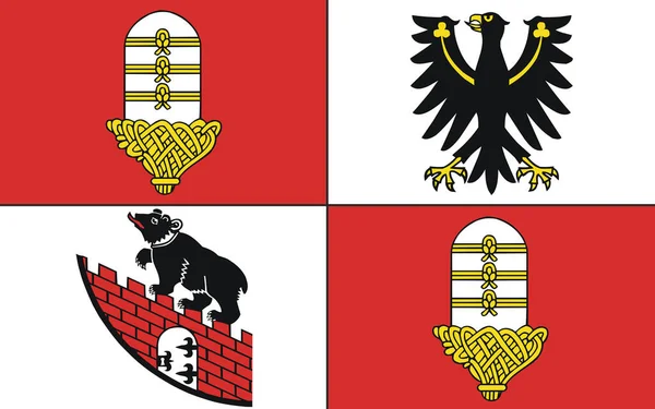 Bandiera Salzland Distretto Della Sassonia Anhalt Germania — Foto Stock