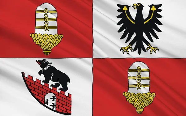 Flag Salzland Ett Distrikt Mitt Sachsen Anhalt Tyskland Illustration — Stockfoto