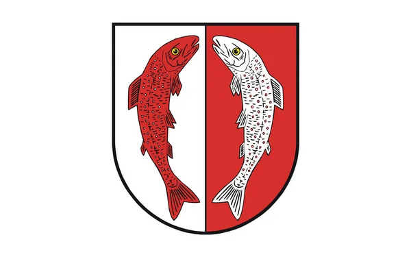 Vlajka Wernigerode Okresu Západě Saska Anhaltska Německo — Stock fotografie