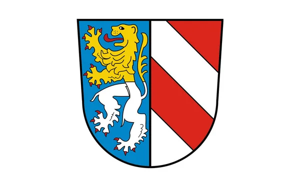 Bandiera Zwickau Distretto Dello Stato Libero Sassonia Germania Illustrazione — Foto Stock