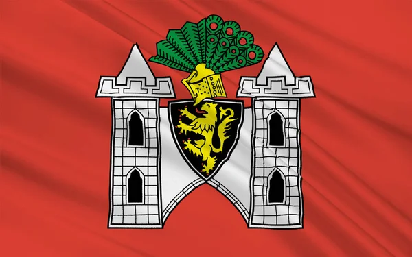 Bandeira Plauen Uma Cidade Alemanha Localizada Estado Saxônia Ilustração — Fotografia de Stock