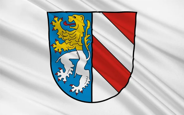 Flagga Zwickau Ett Distrikt Delstaten Sachsen Tyskland Illustration — Stockfoto