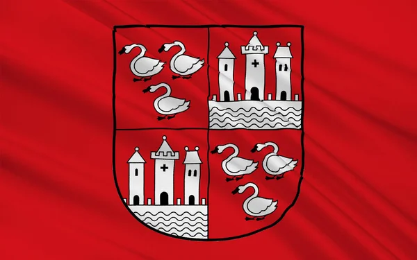 Zászló Zwickau Egy Város Szászországban Németországban Illusztráció — Stock Fotó
