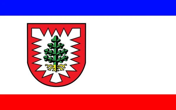 Flaga Pinneberg Powiat Szlezwiku Holsztynie Niemcy — Zdjęcie stockowe