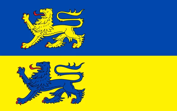 Flag Schleswig Flensburg Округ Шлезвіг Гольштейні Німеччина — стокове фото