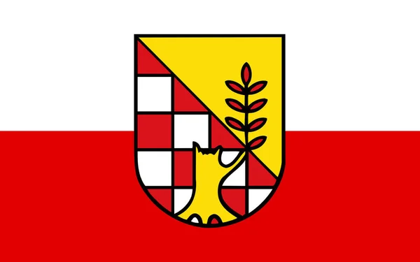 Прапор Нордхаузен Крес Район Півночі Тюрингії Німеччина — стокове фото