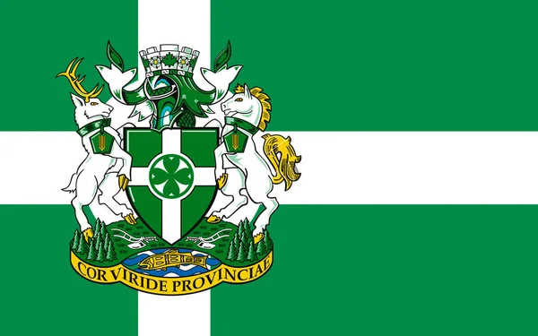 Flag Chilliwack Stad British Columbia Kanada — Stockfoto