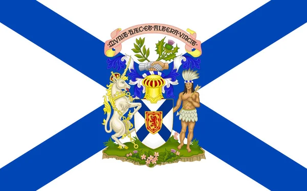 뉴잉글랜드 플래그 Flag New Scotland 캐나다의 하나이며 대서양 캐나다를 형성하는 — 스톡 사진