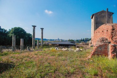 Circus Maximus, İtalya 'nın başkenti Roma' da bulunan antik bir Roma yarış arabası stadyumu..