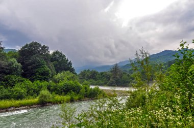 Vahşi Yaşam Kafkas Dağları, Hızlı Dağ Nehri ve Yoğun Ormanlar